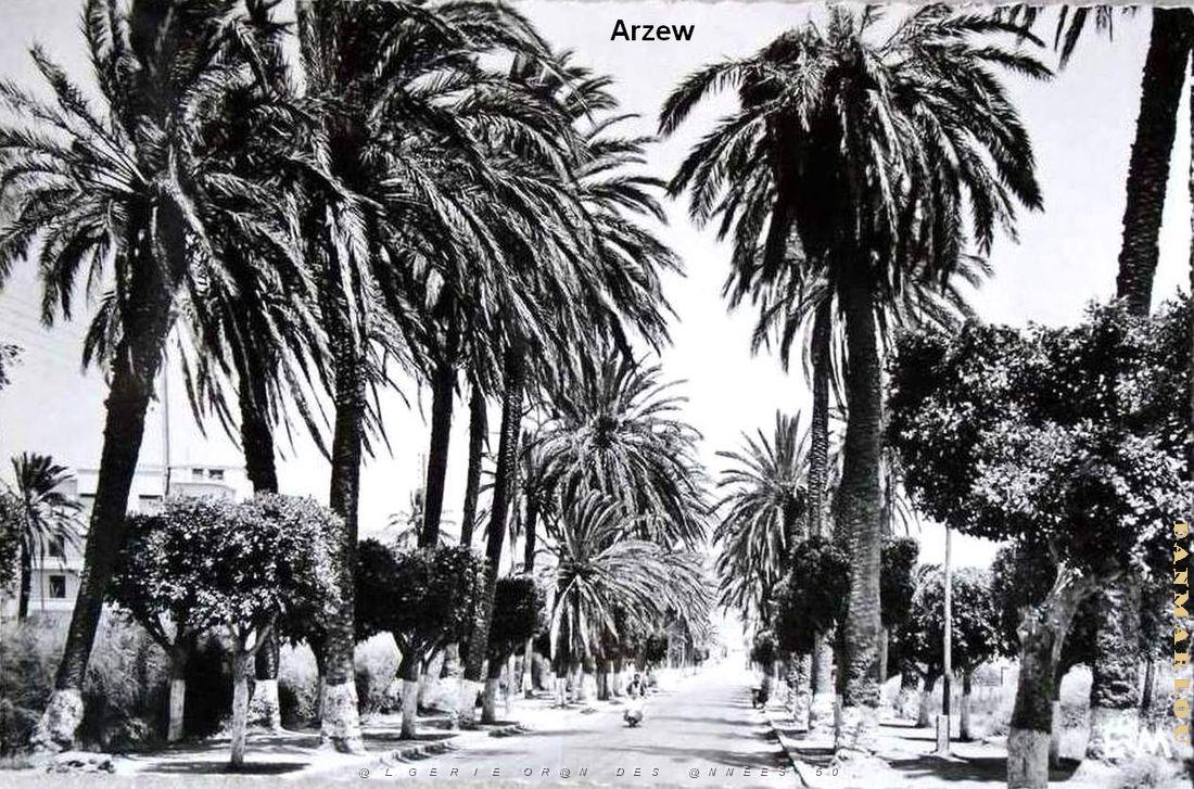 Arzew 197.jpg